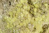 Sulfur Crystal Cluster on Matrix - Nevada #129735-2